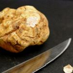 Rotolo di vitello con patate