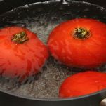 Spaghetti al filetto di pomodoro