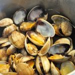 Spaghetti alla sorrentina