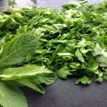 Spaghetti alle erbe aromatiche