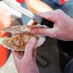 Spiedini di mare di Capodanno