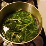 Spinaci all&#8217;aglio e olio