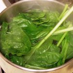 Tagliatelle agli spinaci