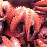 Tagliolini con moscardini e asparagi