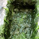 Terrina di pesce e verdure