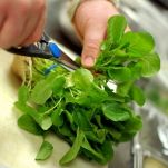 Tortino di crescione