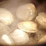 Vongole con aglio e pomodoro