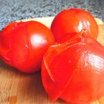 Zuppa di canocchie alla versiliana