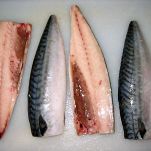 Zuppa di canocchie alla versiliana