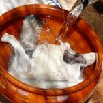 Baccala alla Bolognese