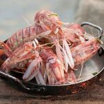 Bavette alle canocchie