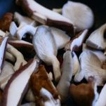 Bocconcini di riso al forno