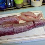 Brodetto dell’adriatico