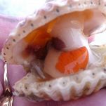 Capesante al burro e prezzemolo