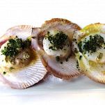 Capesante al burro e prezzemolo