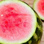 Cocomero del gourmet