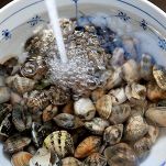 vongole