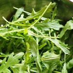 Filetti di rombo in salsa rucola