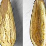 Melanzane alla tunisina