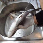 Orata al forno con le olive