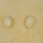 pane-con-olive-e-pomodori-secchi-2