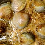 Pappardelle con ragù marinaro