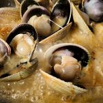 Pappardelle con ragù marinaro