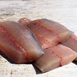 Pappardelle con ragù marinaro