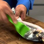 Pesce marinato in salsa chermoula