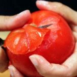 Pomodorini ripieni ricotta e tonno &#8211; Microonde