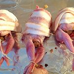 Quaglie al prosciutto