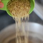 Riso piselli e gamberetti