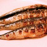 Sarde alla griglia