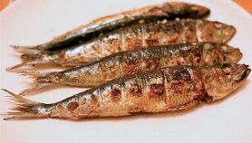 Sarde alla griglia