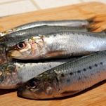 Sardine grigliate