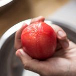 Sformati di gamberetti