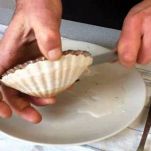 Spiedini di capesante