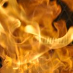 Spiedini di capesante