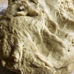 Stiacciata alla livornese