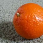 Tagliatelle all&#8217;arancia