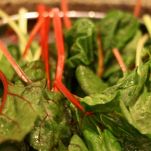 Tagliatelle alla mentuccia