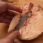 Terrina di foie gras