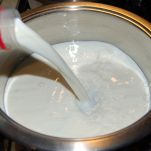 Tortine di grano alla ricotta e limone