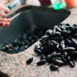 Tortino di uova e cozze