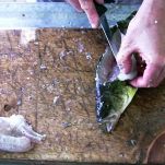 Zuppa olandese di pesce