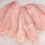 Cernia in forno alle erbe