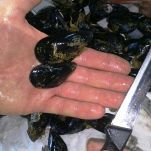 Cozze al forno con patate