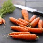 Dolce di carote al cocco