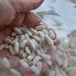 Fagioli con pancetta