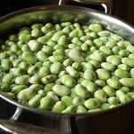 Farfalle con le fave